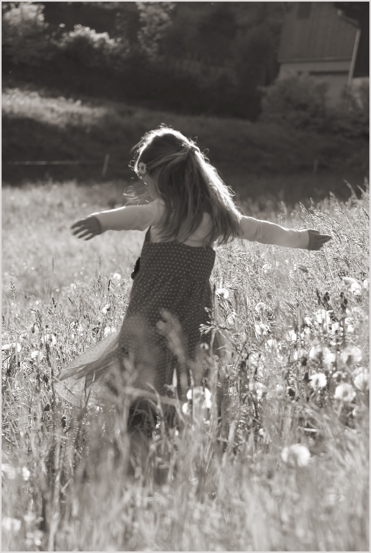 meadow-1370133_1920 La Sophro-Danse ou la danse en conscience musique émotions